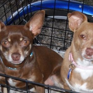 Meet your Posher, Cheryl